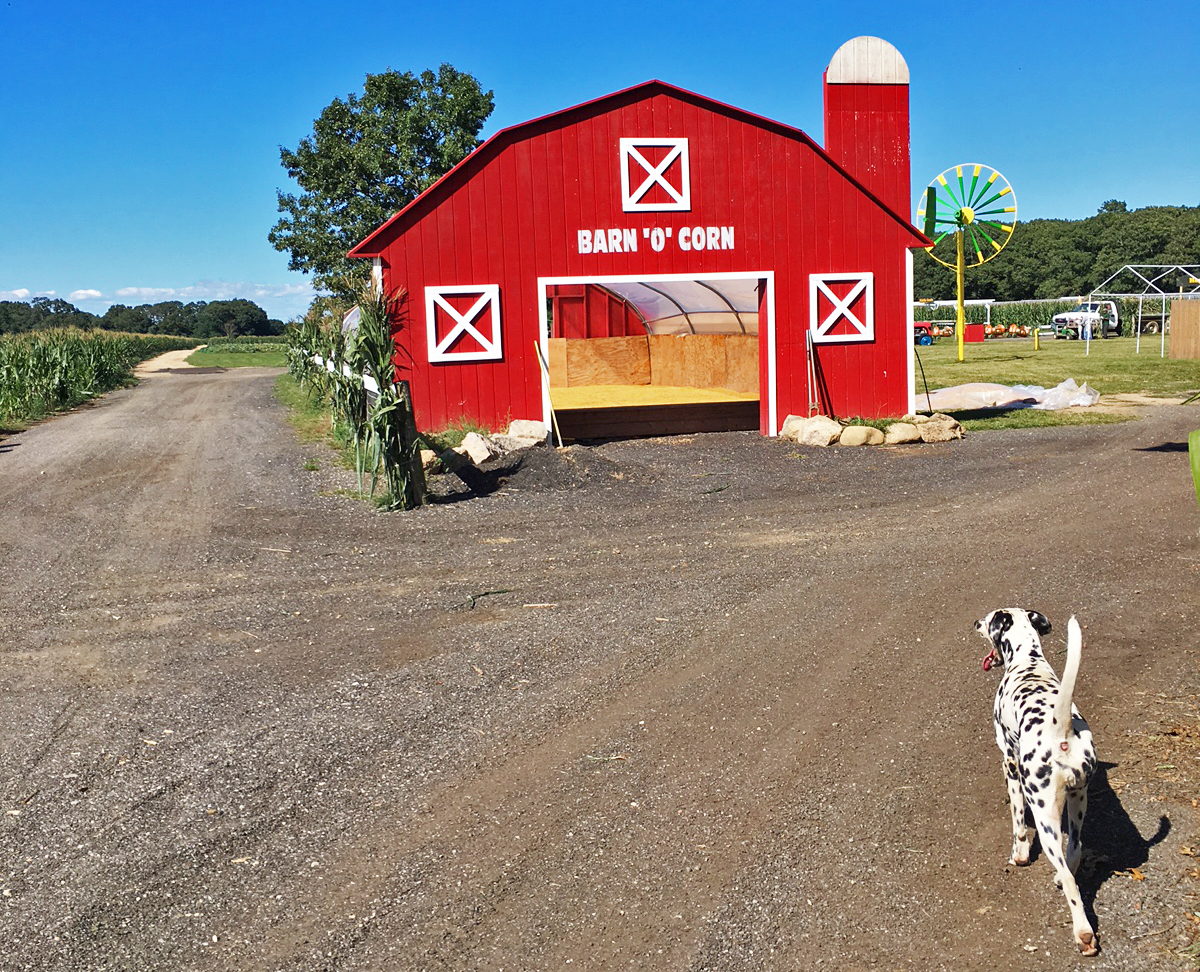 Fink’s Farm Fall Family Fun - Hotel Indigo